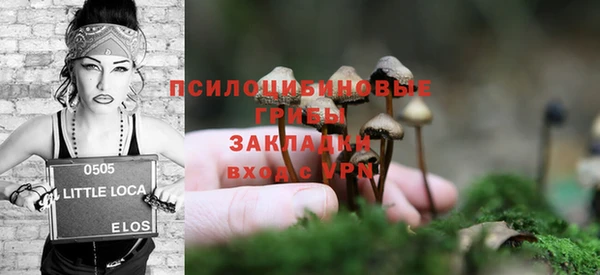 стаф Зерноград