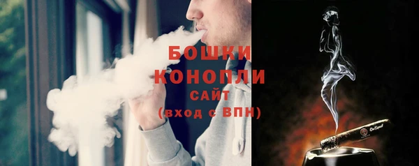 прущая мука Инта