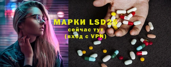 мет Инсар