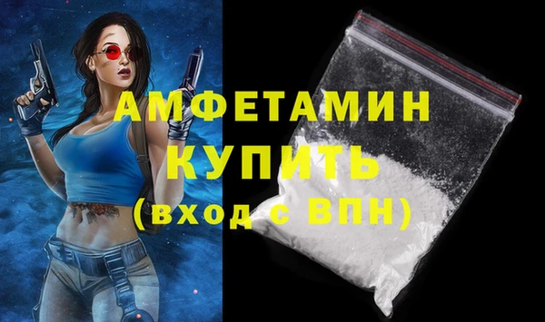 стаф Зерноград