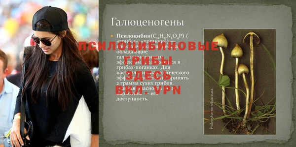 сатива Зеленодольск