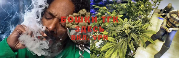 прущая мука Инта