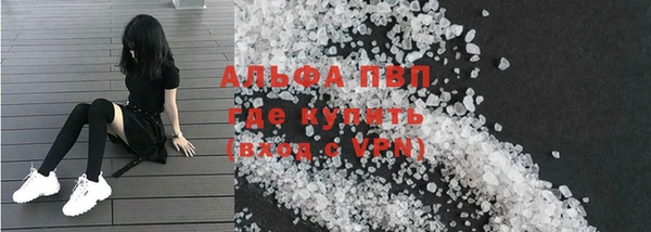 стаф Зерноград