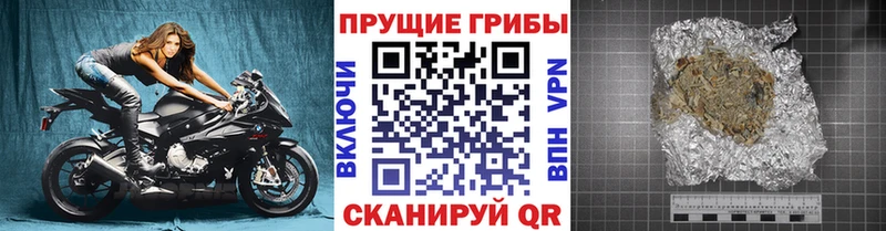 Купить закладки  Сретенск  Галлюциногенные грибы Psilocybine cubensis 